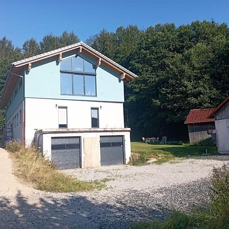 Fewo Wiesenblick Waldmünchen Dış mekan fotoğraf