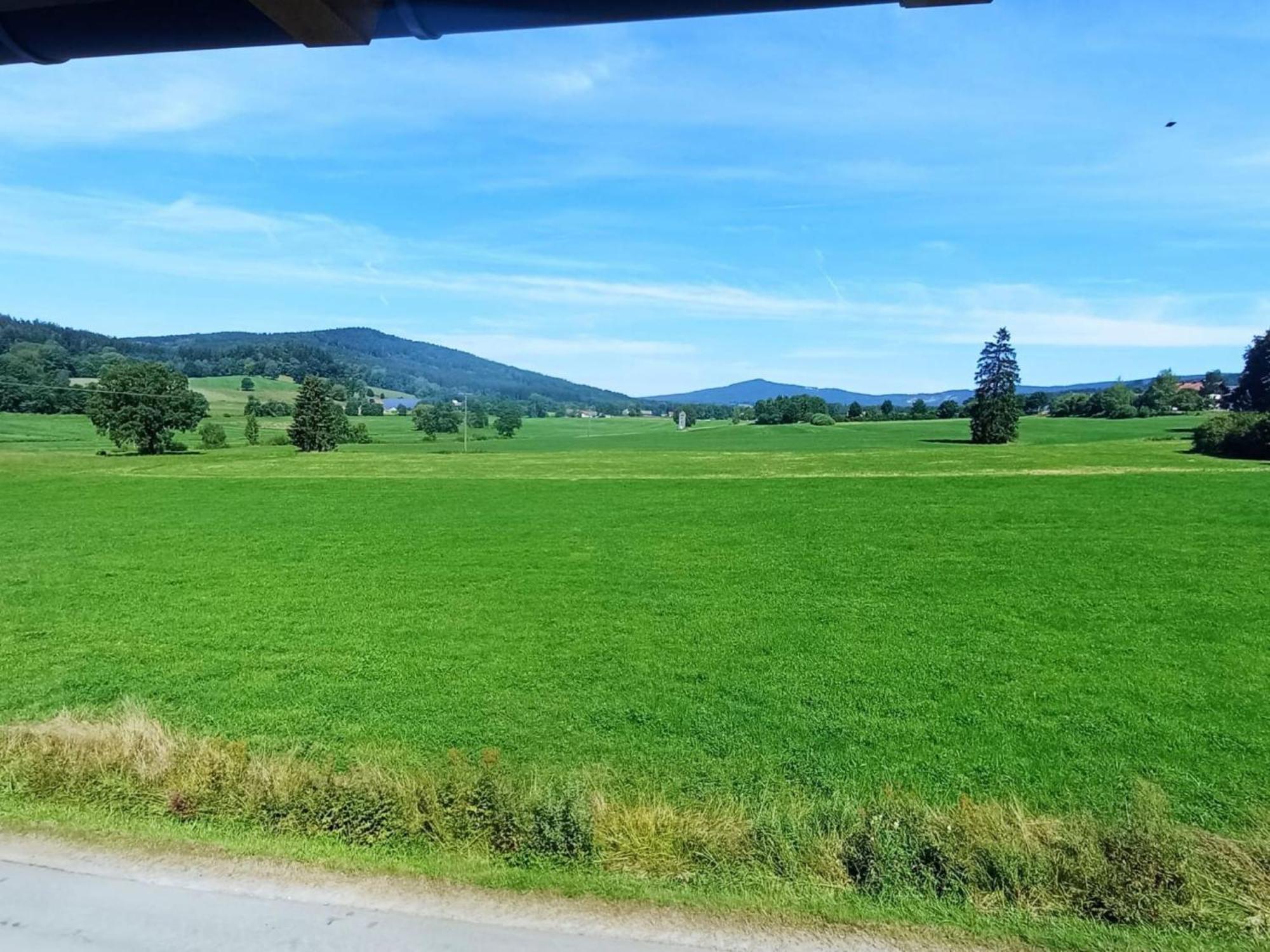 Fewo Wiesenblick Waldmünchen Dış mekan fotoğraf